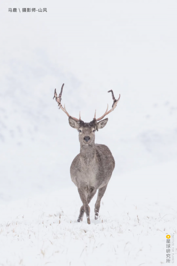 出發!穿越中國最長國道219 出發!穿越中國最長國道219