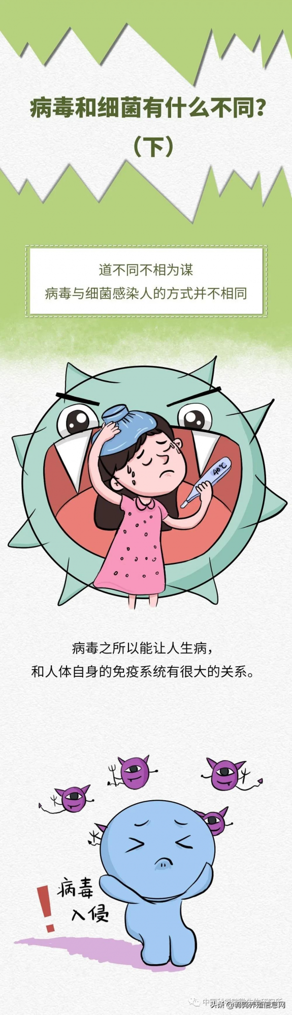 科普 | 病毒和細菌有什麼不同?(下集) 科普 | 病毒和細菌有什麼不同?(下集)