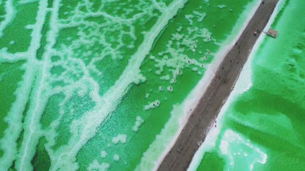 標緻4008環青海長測Day8：察爾汗鹽湖，最值得來的西北鹽湖之一！