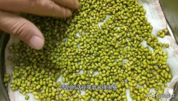 家庭自制綠豆芽,教你5個小秘訣,豆芽4天就能吃,安全衛生又營養 家庭自制綠豆芽,教你5個小秘訣,豆芽4天就能吃,安全衛生又營養