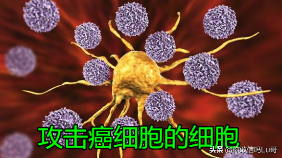 癌症發生的真正原理是什麼?目前提出了三個假說,都有哪些? 癌症發生的真正原理是什麼?目前提出了三個假說,都有哪些?