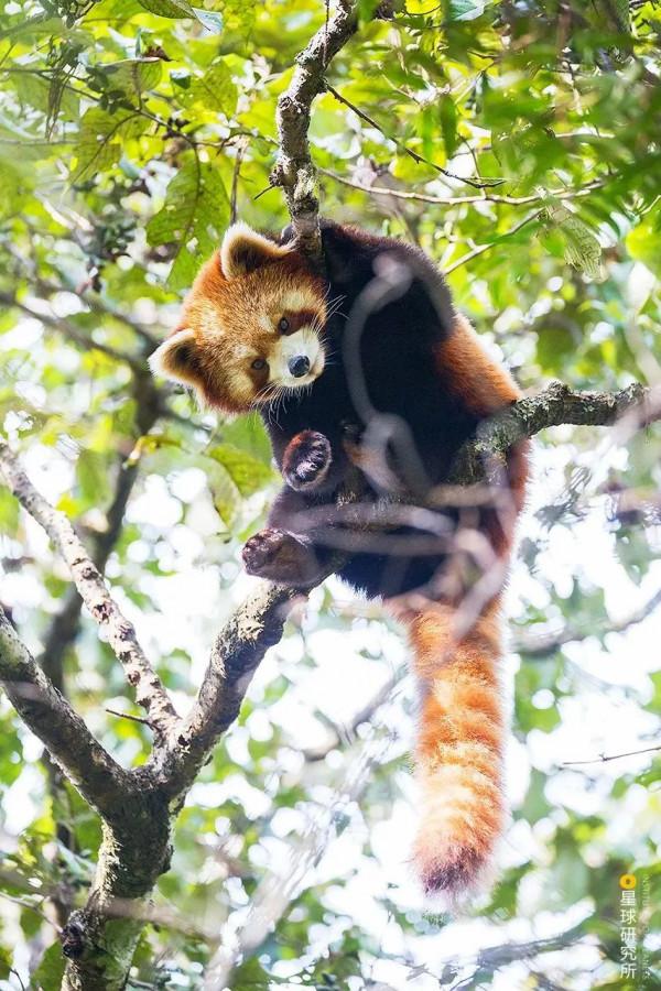 走,去大西南! 走,去大西南!