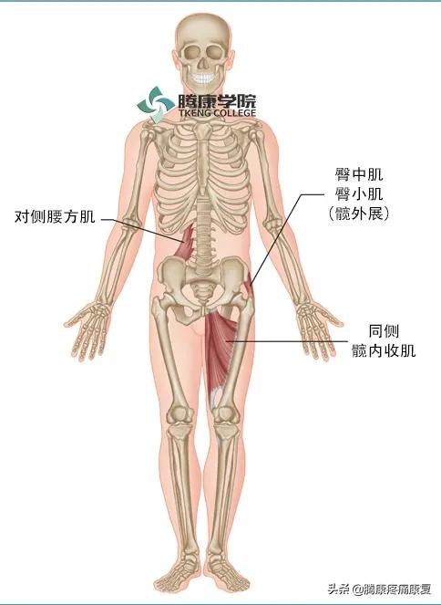 步行對腰痛真的有好處? 步行對腰痛真的有好處?