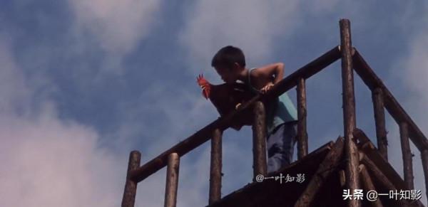 6歲男孩竟然能把雞練得比狗還聽話,能飛天,能治病,催淚國產片 6歲男孩竟然能把雞練得比狗還聽話,能飛天,能治病,催淚國產片