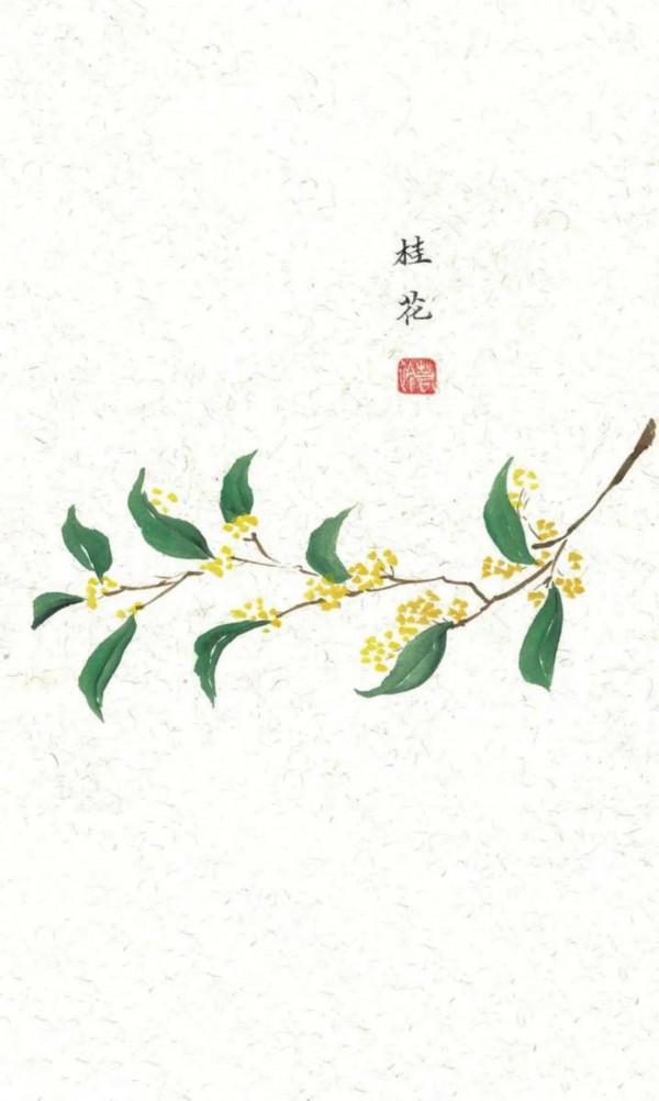 今日秋分|秋水澄澈,與天地相融 今日秋分|秋水澄澈,與天地相融