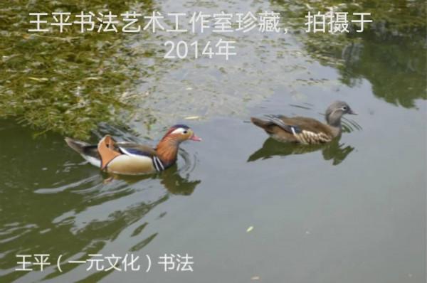 忠貞愛情騙了幾千年 忠貞愛情騙了幾千年