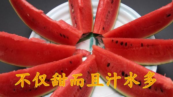 我買西瓜的時候，就看這幾點，西瓜個個又甜又多汁，學學
