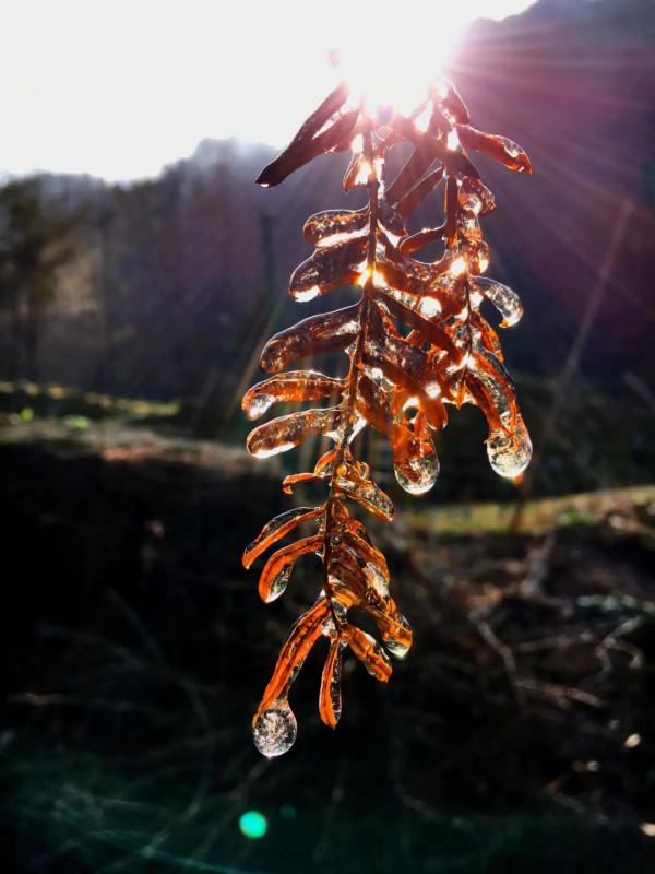 「冬日徒步」 登頂杏梅尖,看玉樹冰掛,攬霧凇勝景,探龍門古鎮 「冬日徒步」 登頂杏梅尖,看玉樹冰掛,攬霧凇勝景,探龍門古鎮