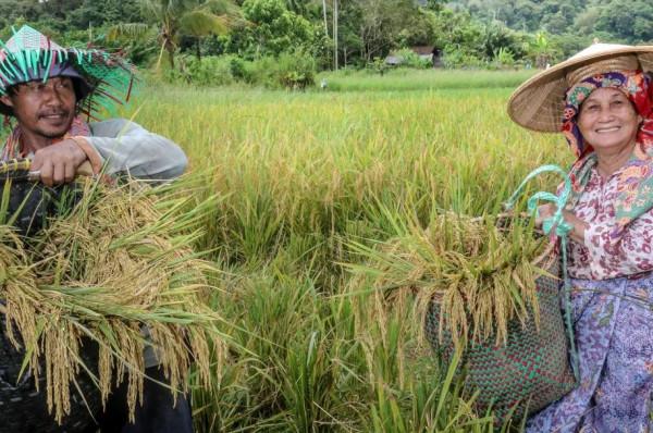 汶萊——2021服貿會“一帶一路”文化旅遊推介展之二