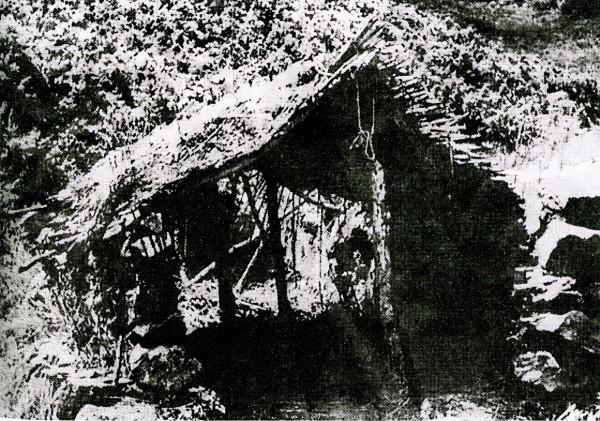 楊靖宇警衛員王傳聖：受傷後荒野生存60多天，凍掉腳趾爬著找隊伍