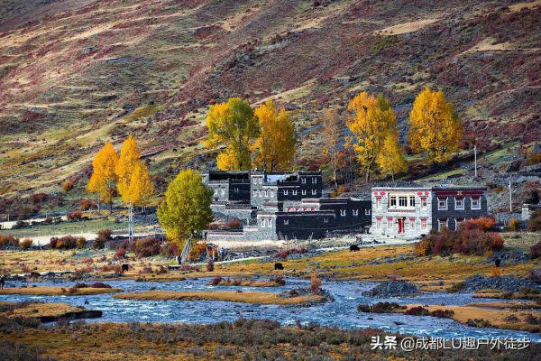 川西最美秋色進行曲,對的時間去對的地方,這次不會錯過 川西最美秋色進行曲,對的時間去對的地方,這次不會錯過