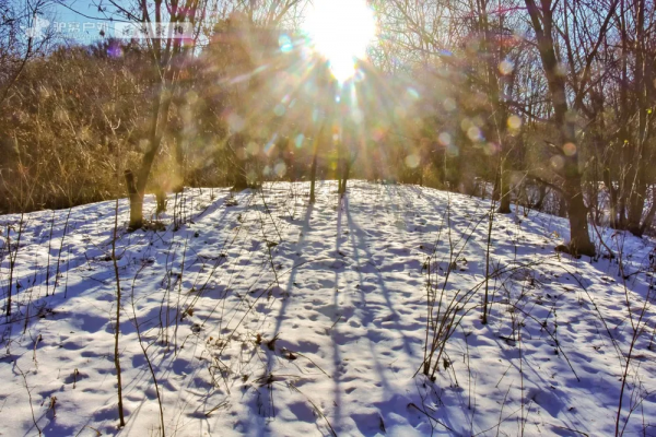 領隊探路實拍！秦嶺山間探秘古剎，登高問鼎雲際寺，冬日好風光