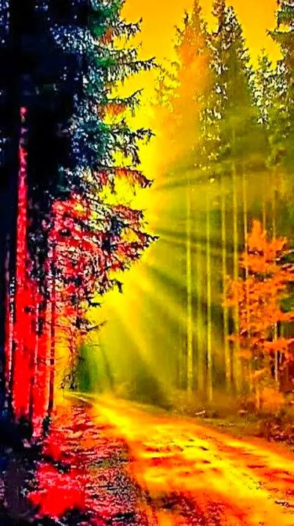 分享：美景如畫，驚豔絕倫，仙境一般的自然環境，如此優美迷人