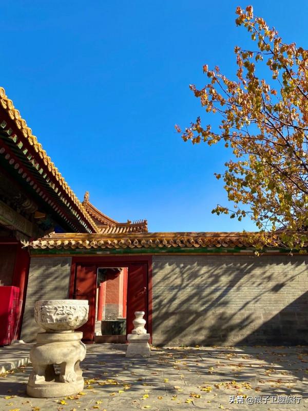 北京故宮醉人秋色:6個銀杏拍攝點,拍出這一季的美輪美奐 北京故宮醉人秋色:6個銀杏拍攝點,拍出這一季的美輪美奐