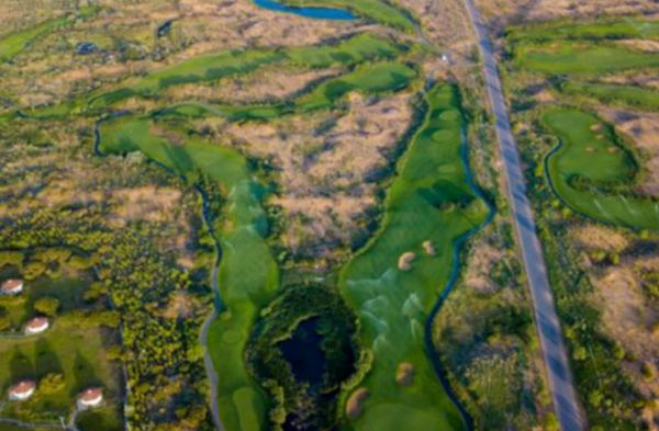 地球正在變綠？原因在中國和印度，專家卻對印度的“綠”十分擔憂