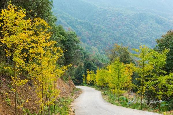 廣東第一險龍鬥峰,聚集了嶺南山嶽精華的巔峰之作 廣東第一險龍鬥峰,聚集了嶺南山嶽精華的巔峰之作