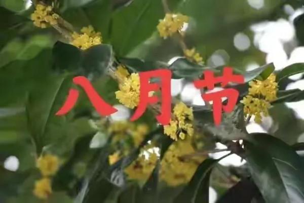 2021年中秋過後是旱是澇，八月十三的天氣有預兆，看老祖宗怎麼說