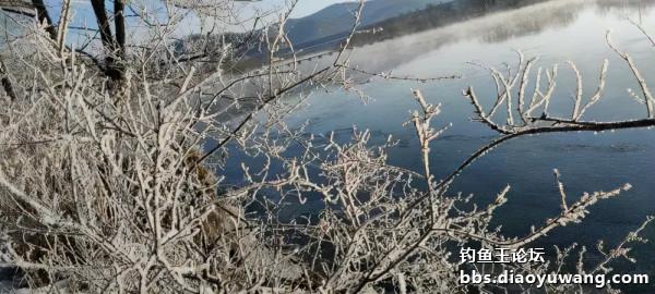 新年，首發冰釣