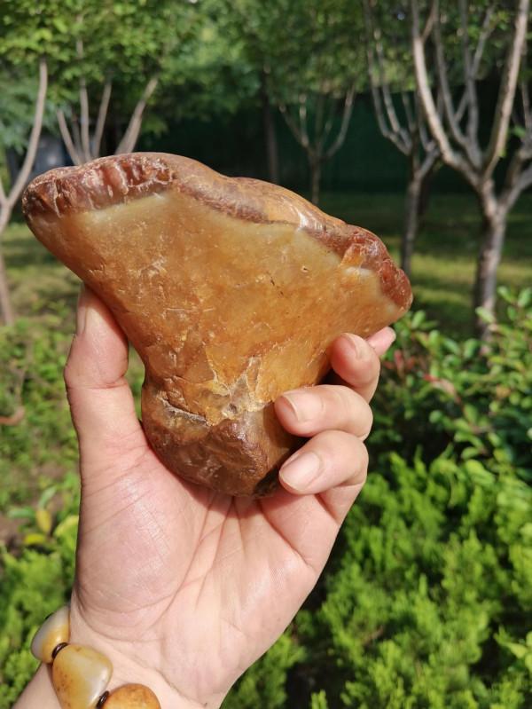 張大銀奇石撿漏記 張大銀奇石撿漏記