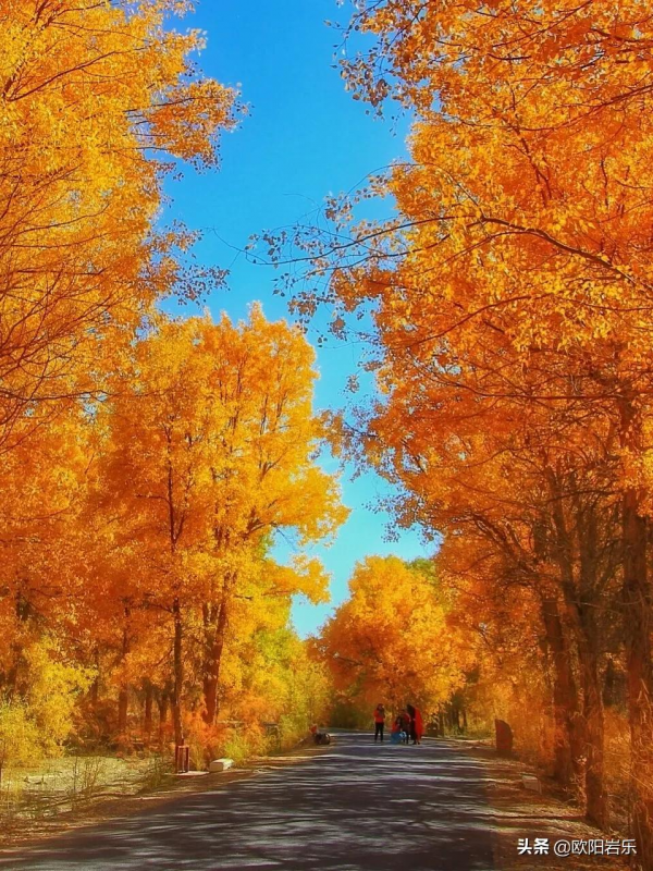 秋天的第一場旅行，你可以去這6個地方。一入秋，他們就變色了…