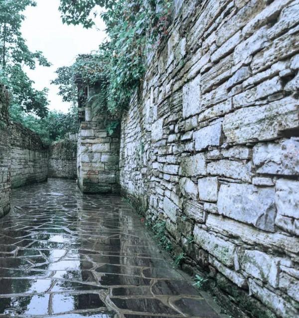 花枝的故事，美麗的悲劇：她連模糊的影像都沒留一張