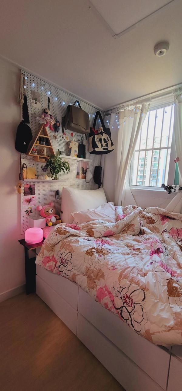 獨居6年，不想結婚，她把全屋擺滿各種綠植，意外收穫五千人關注