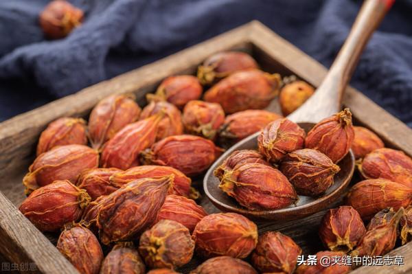 實火當瀉，送你一味梔子，善清三焦之火，不來了解下嗎