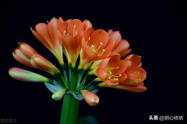 做好這三點，掌握人生的方向盤，活出純粹真我