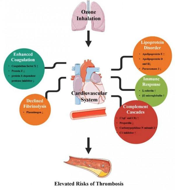 科研速遞 | 復旦上醫2022年1月科研成果一覽