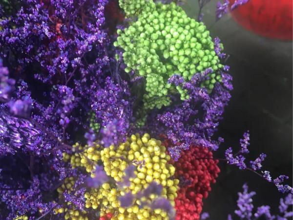 春節家裡買上幾盆花草新年新氣象新年吉祥萬事順意