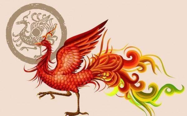 中國九大神鳥分別是什麼？