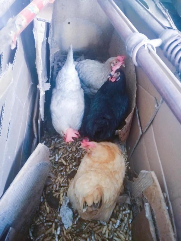 人生，事不關己和事關自己有什麼不同？