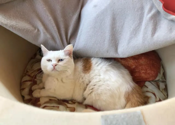 我 · 美食博主 · 觀復煎蛋