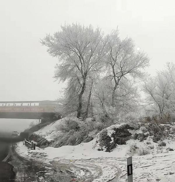霧裡看凇｜冰城今日限定美景