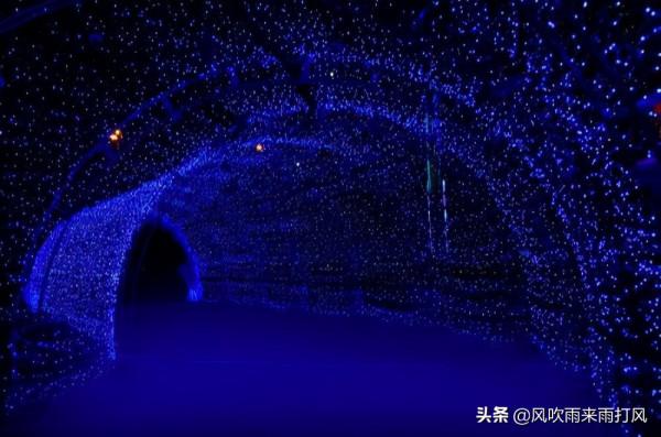 12月23日晚間訊息，白酒滬股通出現資金淨流出