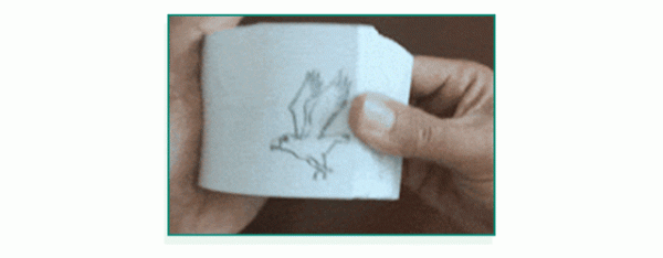 雙十一換機怎麼選？教你輕鬆看懂手機引數