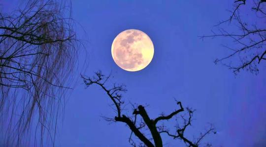 中秋情思《秋夜思》