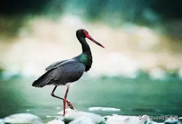 中國第一大群島——舟山群島