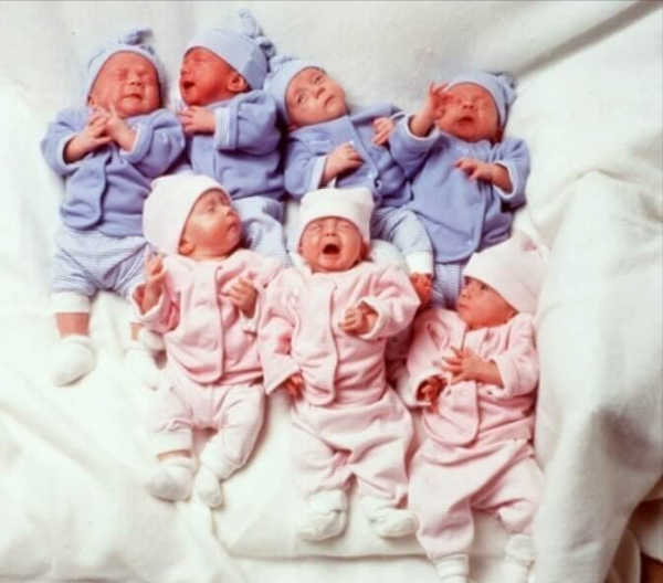 24年前，轟動世界的全球首例七胞胎，現已長大成人，離開獲贈別墅