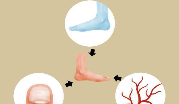 50歲是養壽關鍵期，身體發生的異常變化，早發現或能延長壽命