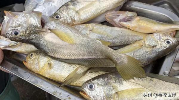 遇到稱為“鮮霸”的小魚,毫不手軟買了300塊,只是太少見了 遇到稱為“鮮霸”的小魚,毫不手軟買了300塊,只是太少見了