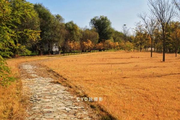 記錄南湖晚秋的色彩 記錄南湖晚秋的色彩