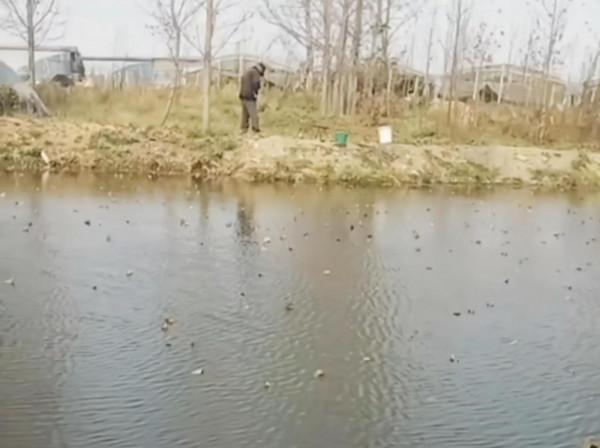 從“爆護”到“光頭”,連釣三天西南風,為何差別那麼大? 從“爆護”到“光頭”,連釣三天西南風,為何差別那麼大?