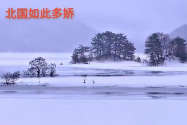 司馬南出生於東北，東北的雪景實在是美