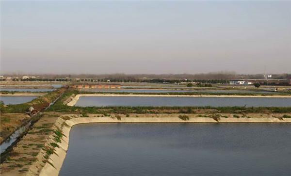 70後大叔陳靜濤，仿野生養殖甲魚，絕地翻身年銷6000萬