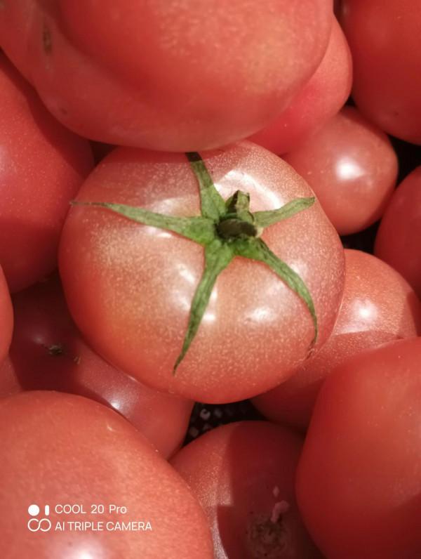 深度體驗cool 20pro拍照技術 深度體驗cool 20pro拍照技術