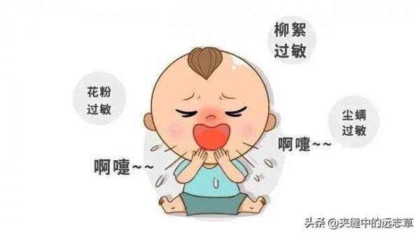 鼻塞、鼻癢、流涕不止？送你十味中藥，通鼻竅，瀉肺熱，