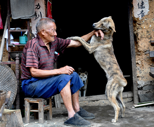 東北獵人抓到懷孕母狼，不忍傷害將它放生，結局讓人意想不到