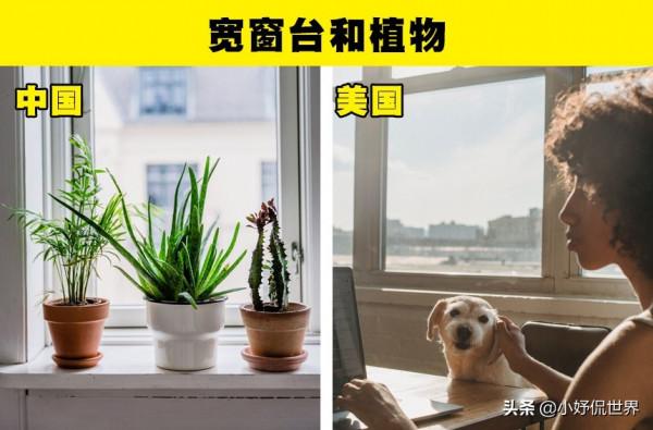 世界各國的生活習性中的7大差異,誰的更加科學 世界各國的生活習性中的7大差異,誰的更加科學