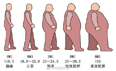 中年發福不要甩鍋代謝 中年發福不要甩鍋代謝
